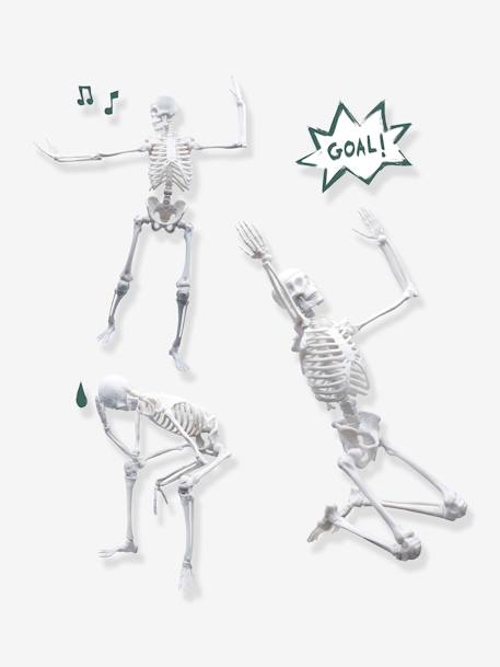 Kinder Anatomie-Skelett BUKI mehrfarbig 
