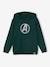 Sweat à capuche garçon Marvel® Avengers vert sapin 