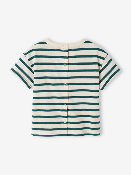 T-shirt bébé capsule famille marin rayé vert 