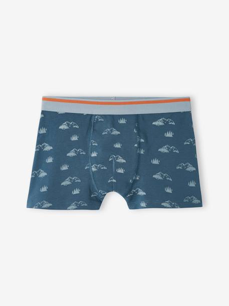 Lot de 5 boxers stretch Yéti garçon bleu grisé 