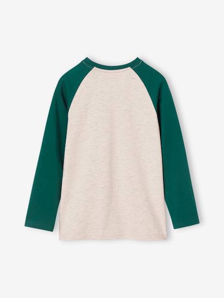 T-shirt motif graphique garçon manches raglan colorées BLEU+gris chiné+vert sapin 