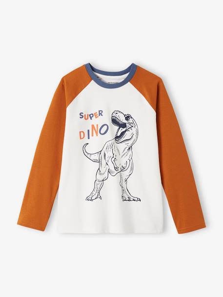 Lot de 2 pyjamas dino garçon indigo 