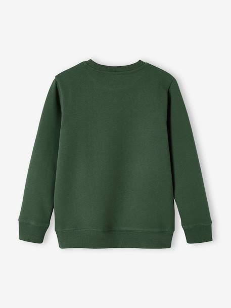 Jungen Kapuzensweatshirt BASIC grün+nachtblau+pekannuss 