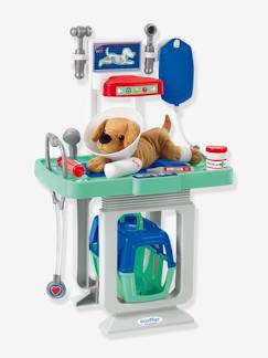 Spielzeug-Nachahmungsspiele-Küche, Geschirr und Lebensmittel-Kinder Tierarztpraxis mit Plüschhund ECOIFFIER