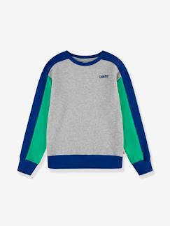 Junge-Pullover, Strickjacke, Sweatshirt-Sweatshirt-Kinder Logo-Sweatshirt Levi's