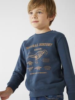 Junge-Pullover, Strickjacke, Sweatshirt-Sweatshirt-Jungen Kapuzensweatshirt BASIC