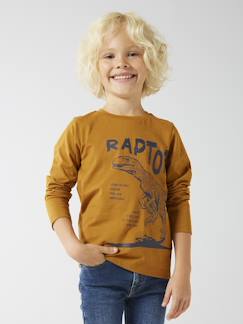 Garçon-T-shirt, polo, sous-pull-T-shirt-Tee-shirt imprimé Basics garçon manches longues