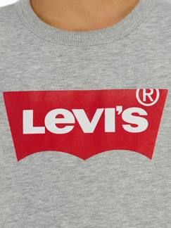 Junge-Pullover, Strickjacke, Sweatshirt-Sweatshirt-Jungen Sweatshirt Batwing Crewneck Levi's
