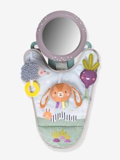 Jouet-Premier âge-Doudous et jouets en tissu-Jouet de Voiture Jardin -