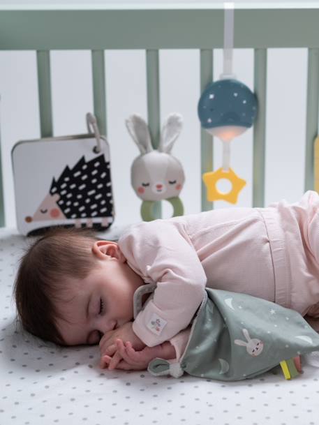Einschlafhilfe-Koffer für Babys - TAF TOYS mehrfarbig 