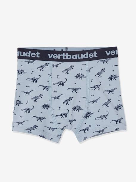 Lot de 5 boxers stretch garÁon dinosaures Lot  dino 