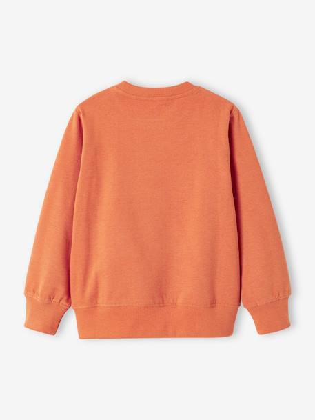 Jungen Sweatshirt mit Print BASIC Oeko-Tex aprikose+beige meliert+blaugrau+pistazie 