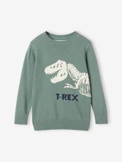 Junge-Pullover, Strickjacke, Sweatshirt-Pullover-Jungen Pullover mit Dino Oeko-Tex
