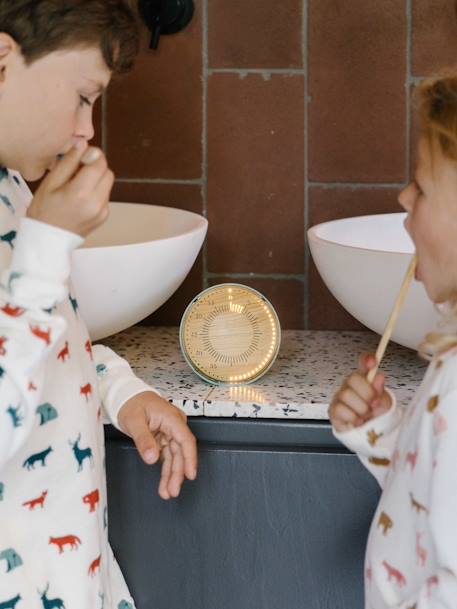 Kinder Timer KIDYTIMER KIDYWOLF grün 