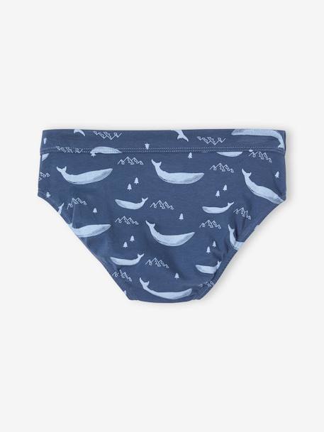 Lot de 7 slips stretch baleines garçon en coton bio bleu ciel 