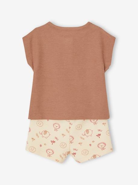 Baby-Set: Henley-Shirt & Shorts Oeko-Tex mokka 