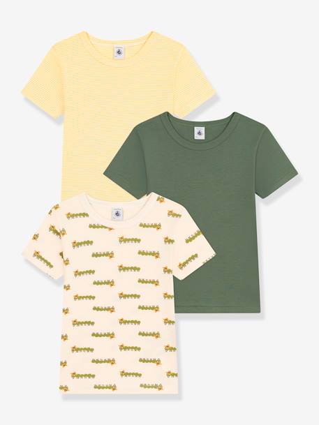 Lot 3 t-shirts manches courtes PETIT BATEAU vert 