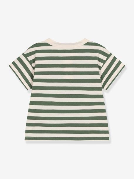 T-shirt rayé en jersey garçon PETIT BATEAU rayé vert 