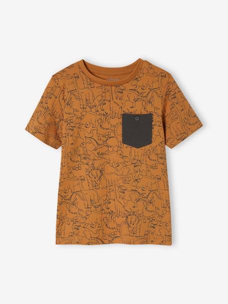 T-shirt motifs graphiques garçon manches courtes anthracite+blanc chiné+bleu ardoise+cannelle+lichen+noix de pécan+terracotta 