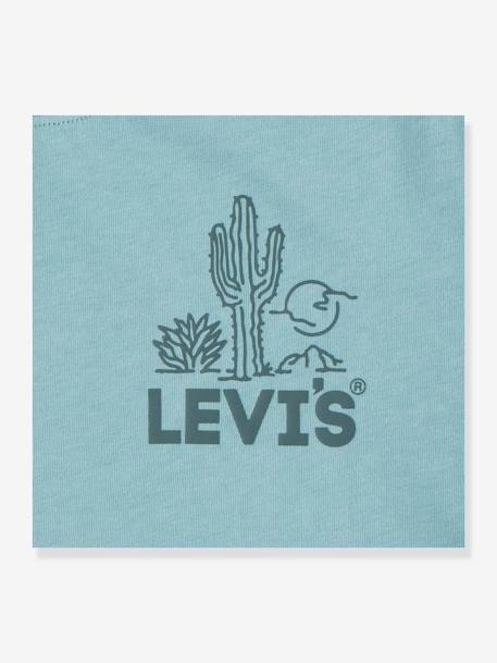 T-shirt graphique garçon Levi's® vert amande 
