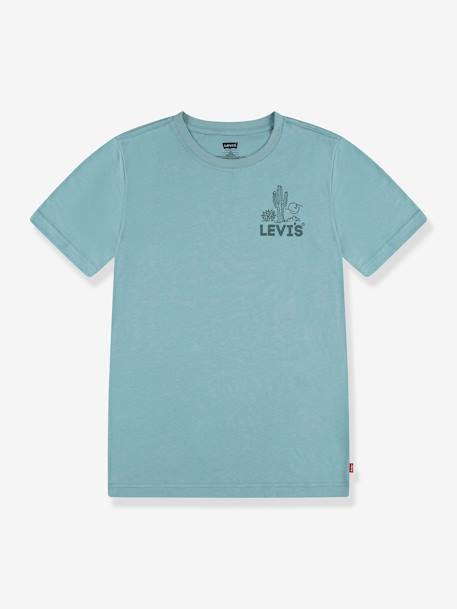 Jungen T-Shirt mit Print Levi's, Bio-Baumwolle mandelgrün 