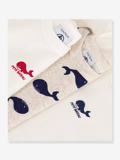 Lot 3 bodies manches courtes imprimé baleine PETIT BATEAU blanc 