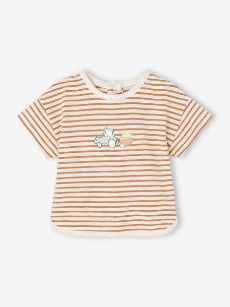 Baby-Set: T-Shirt, Shorts & Sonnenhut cappuccino 