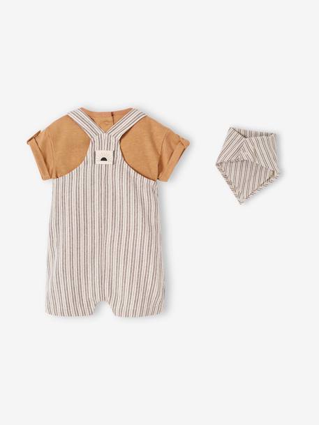 Baby-Set: Latz-Shorts, T-Shirt & Halstuch anthrazit 
