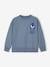 Jungen Sweatshirt The Hedgehog SONIC blaugrau 