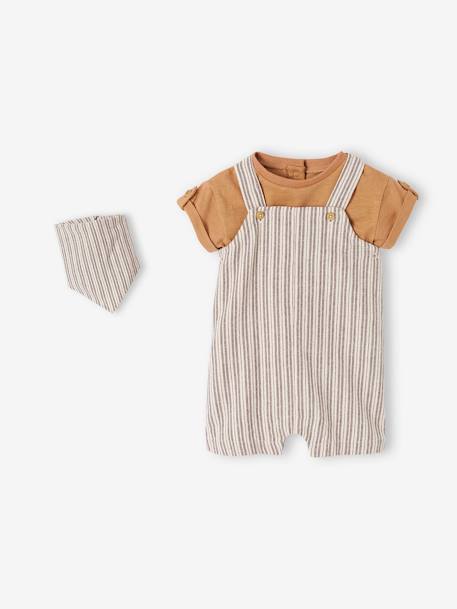 Baby-Set: Latz-Shorts, T-Shirt & Halstuch anthrazit 