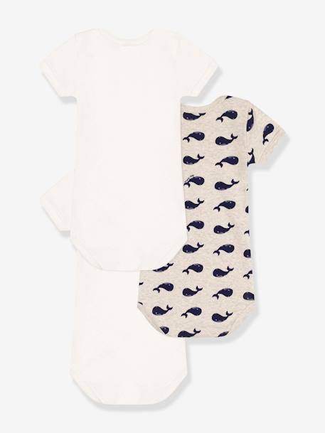 Lot 3 bodies manches courtes imprimé baleine PETIT BATEAU blanc 