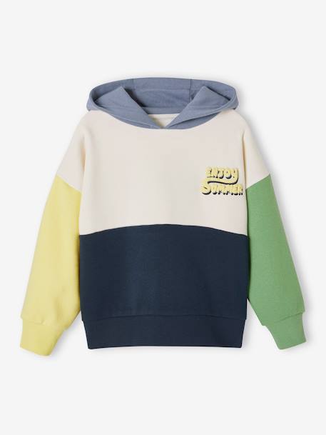 Sweat à capuche colorblock garçon multicolore 