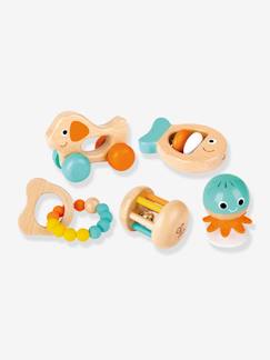 Spielzeug-Mehrteiliges Set Babyrasseln HAPE