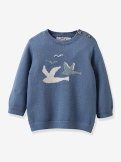 Baby-Pullover, Strickjacke, Sweatshirt-Baby Pullover CYRILLUS, Bio-Baumwolle/Wolle