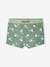 Jungen Baby Badehose mit Gecko-Print Oeko-Tex moosgrün 