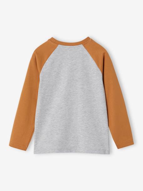 Jungen Shirt, Raglanärmel khaki+moosgrün+pekannuss+weiß meliert 