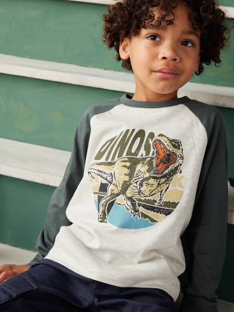 Jungen Shirt, Raglanärmel khaki+moosgrün+pekannuss+weiß meliert 