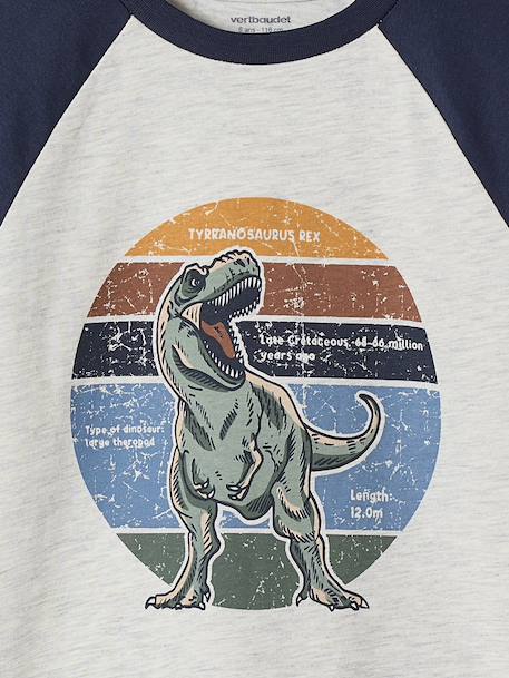 Jungen Shirt, Raglanärmel khaki+moosgrün+pekannuss+weiß meliert 
