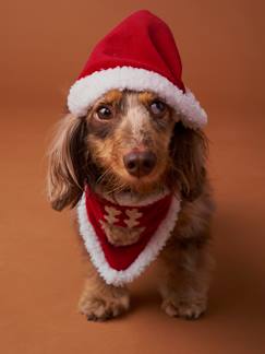 Linge de maison et décoration-Décoration-Collier bandana + bonnet de Noël pour chien